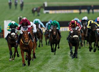 Brown Advisory Plate Race 2024 Betting Tips, Odds.